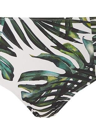 Плавки fantasie palm valley 6767 xl fern (889501167265 )