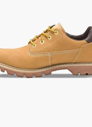 Urbanshop com ua туфли мужские caterpillar colorado low 20 yellow p111124 размеры запитуйте