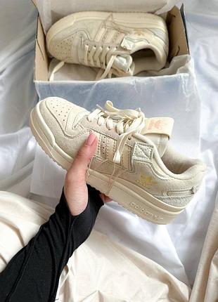 Adidas forum beige premium