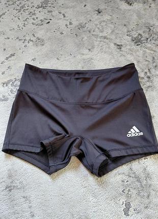 Спортивні шорти adidas м