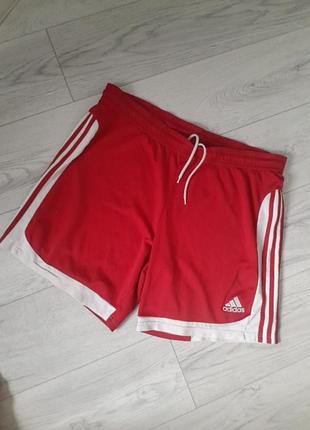 Спортивні чоловічі шорти adidas
