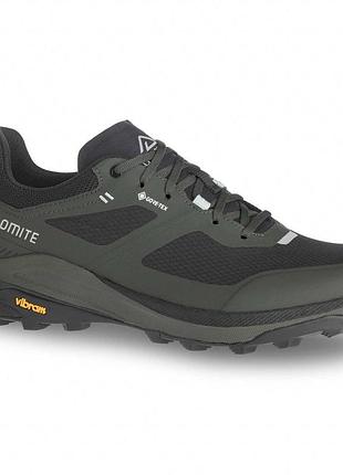 Кросівки dolomite nibelia gtx m's olive green розмір 43 1|3