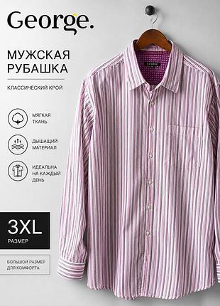 Чоловіча сорочка george xxxl в смужку / 100% бавовна
