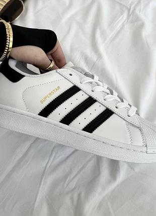 Adidas superstar 37