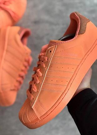 Кроссовки мужские adidas superstar adicolor (41 (26 см))