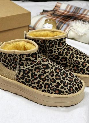 Женские ugg classic ultra mini platform леопардовые модные угги классик мини платформ замшевые с мехом на зиму