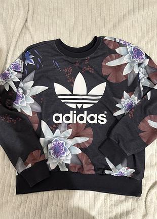 Світшот adidas