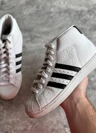 Кросівки жіночі adidas pro model animal (38 (23.5 см))