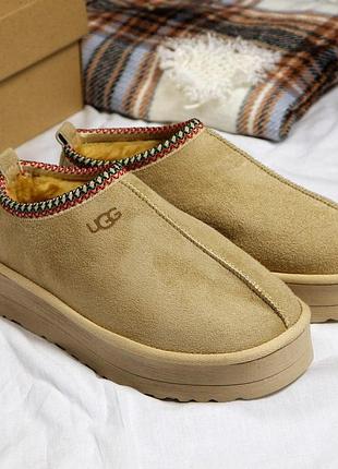 Жіночі ugg tasman platform бежеві стильні зручні уггі тасман платформи низькі із замші з хутром на зиму