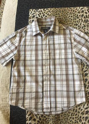 Рубашка, тенниска 4-5 лет. cherokee. тенниска рубашка