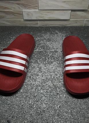 Шлепанцы adidas . оригинал 3