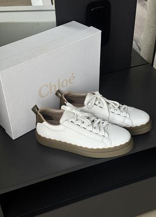 Кросівки chloé lauren low top sneakers / оригінал