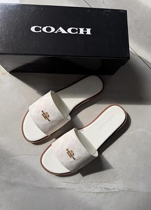 Шльопанці coach