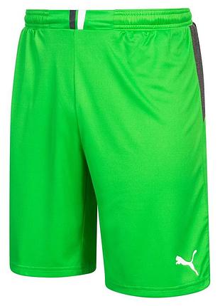 Мужские вратарские шорты puma king 701701-43, зелёный, размер (eu) - l