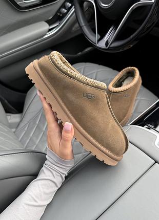 Tasman ii brown 36 37 2