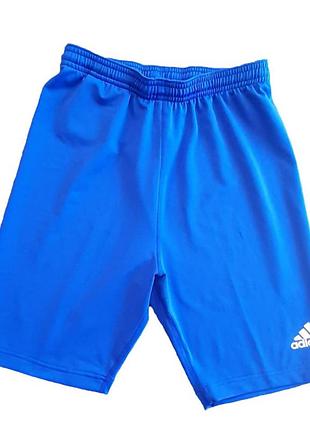 Шорты компрессионные adidas samb tig синие 557878, цвет синий, размер (эвропа) - l 557878