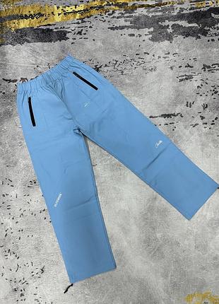 Брюки corteiz elitework голубые xxl