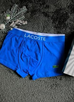 Мужское белье lacoste blue