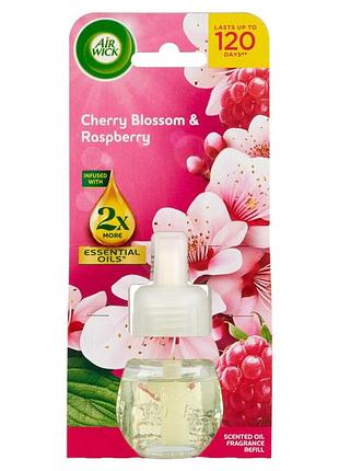Запаска для електричного освіжувача повітря air wick cherry blossom 19 мл