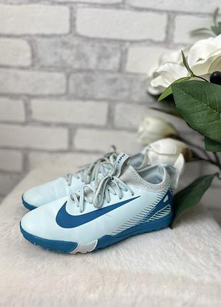 Сороконіжки nike