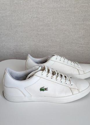 Кеди lacoste 2