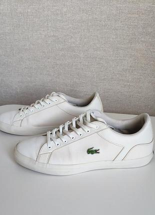 Кеди lacoste