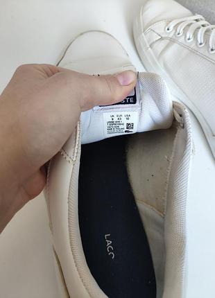 Кеди lacoste 5