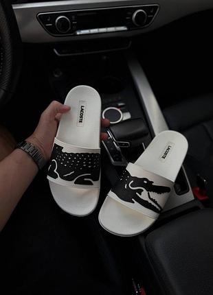 Тапочки lacoste 6