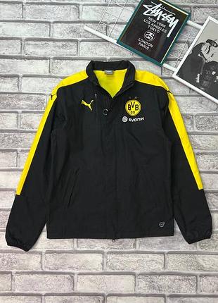Вітровка puma borussia dortmund