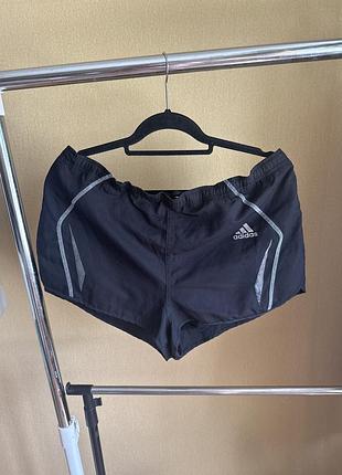 Спортивні шорти adidas l