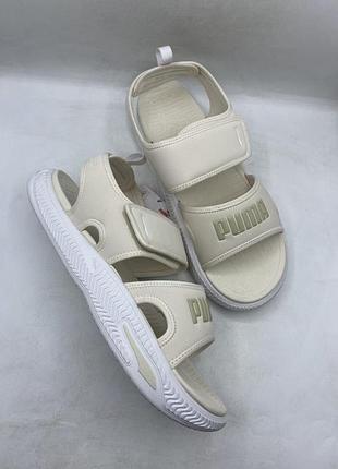 Мужские сандалии puma softridripro sandal 24 (39542904) оригинал 47