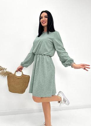 Женское платье в горошек с длинными рукавом "virginia" | норма и батал фисташковый,