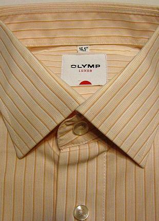 Рубашка чоловіча бобовняна olymp (l / 42)