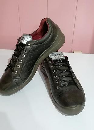Кожанные кроссовки ecco