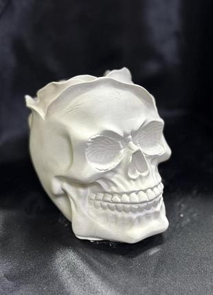Череп кашпо троянда декор fullwhite abc handmade