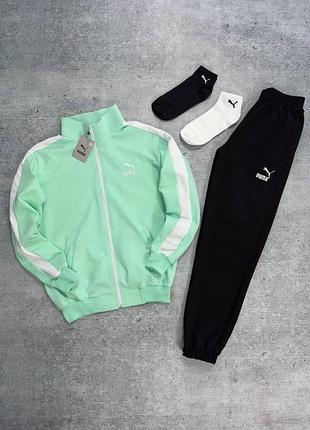 Костюм спортивный puma (носки в подарок) весна-лето-осень турецкая двунитка, костюм пума мужской m