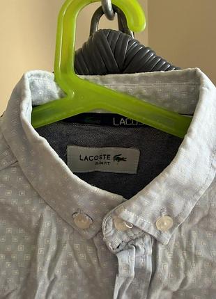 Чоловіча сорочка lacoste ніжно-голубого кольору 👔 класичний стиль та комфорт на кожен день.