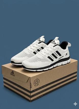 Чоловічі кросівки climacool white black