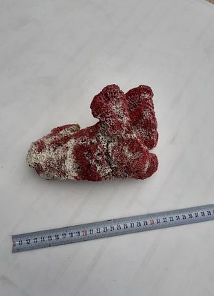 Натуральный морской красный коралл органчик 20 см. эксклюзивный декор