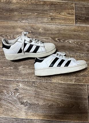 Чоловічі кросівки adidas super star