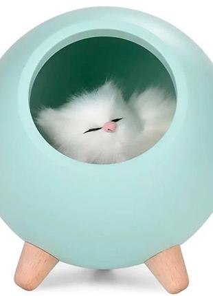 Ночник спящий котенок в домике abc