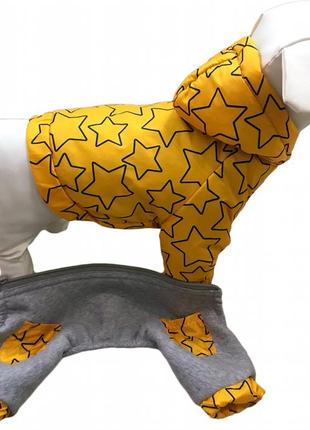 Комбинезон с отстежными штанами звезды контур одежда для собак1 фото