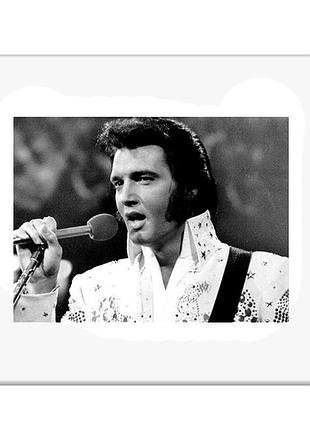 Картина salvadori arte elvis (31 х 26 см) художественная шелковая печать