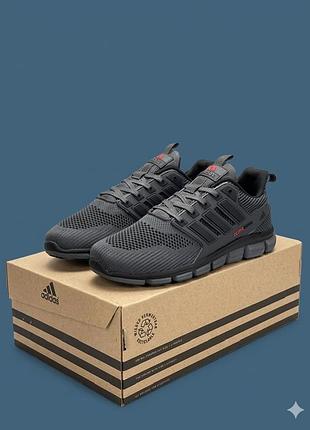 Чоловічі кросівки climacool dark grey