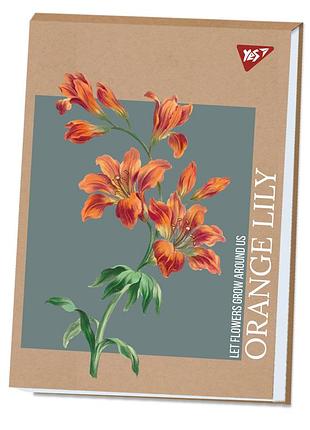 Альбом для рисования а4 yes lily 130584 40 листов