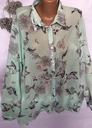 Шикарна повітряна блуза шифон