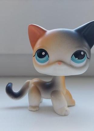 Lps стоячка кішка кіт лпс пет шоп петшоп littlest pet shop літтлест пет шоп стоячки фігурки іграшки фігурка іграшка littles pet shop petshop pets shop