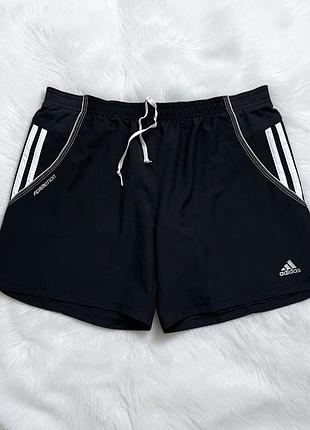 Чоловічі шорти adidas оригінал