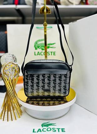 Lacoste 3