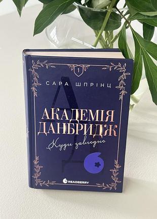 Академия датбридж. куда угодно. книга 1. сара шпинц